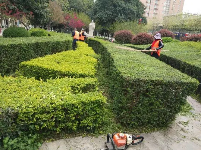 市园林管理问题：绿地缺乏统一规划与维护导致荒芜现象加剧